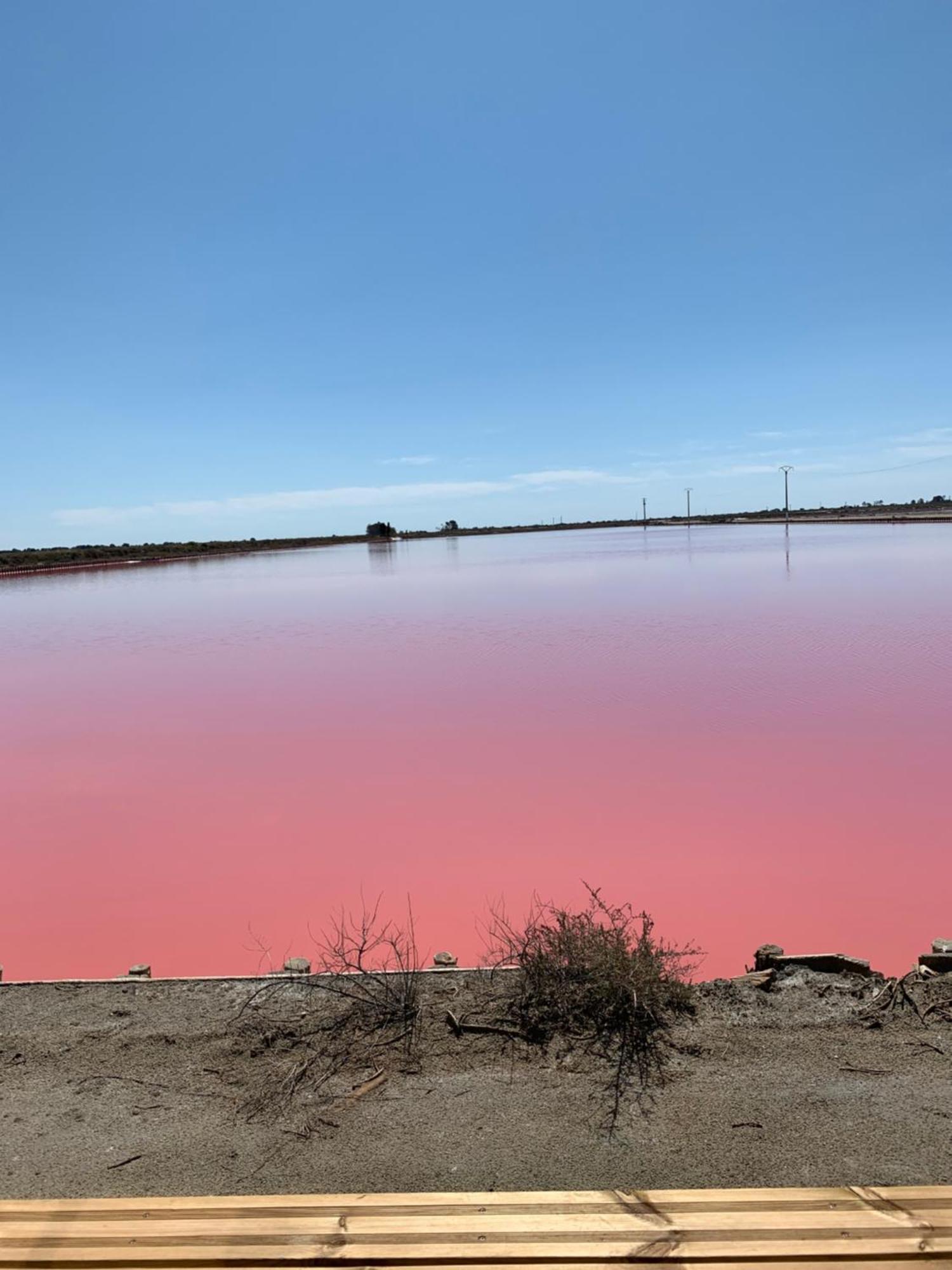 Nuits Salines Aigues-Mortes Kültér fotó